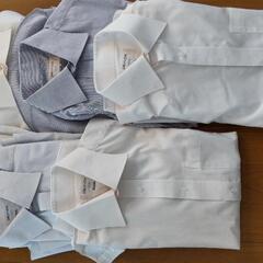 ORIHICAのYシャツ