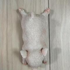 🐷置物の画像