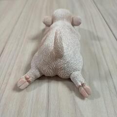 🐷置物の画像