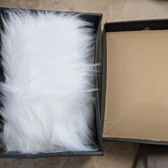 成人式用ファー  決まりました。