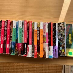 小説を中心とした文庫本、新書など約１，０００冊をお譲りします。の画像