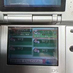 ポケモンソウルシルバーマナフィの卵4個つき　　　