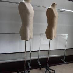 店舗陳列用メンズ用ボディ