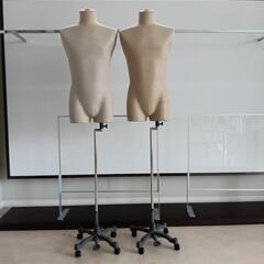 店舗陳列用メンズ用ボディの画像