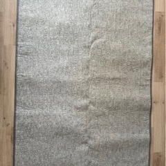 家電 季節、空調家電 ホットカーペットの画像