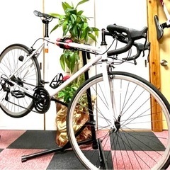 [ALTAGE][新古車]ロ-ドバイク.F3 R6 18段式.タ...