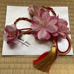 アリサナ　袴　150 小学生　卒業式　　の画像