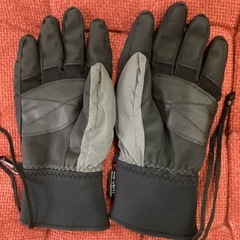 CSB スノーグローブの画像