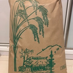  コシヒカリ　10キロ

