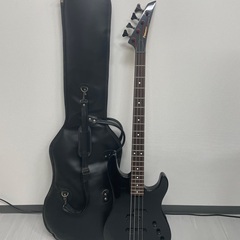 FERNANDES ベース Limited edition　ヴィ...