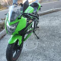 ninja250sl 19000km