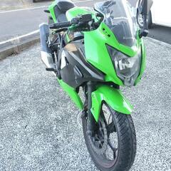 ninja250sl 19000kmの画像