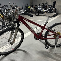 Louis Garneau 子供用自転車の画像