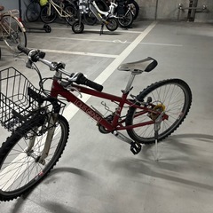 Louis Garneau 子供用自転車
