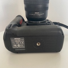 Nikon D-100 一眼レフの画像