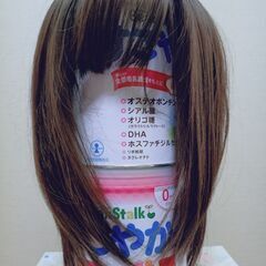 送料無料 新品未使用 フルウィッグ セミロングサラサラ