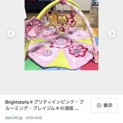 プレイジム（マット、枠のみ）