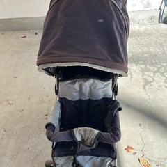 2人用バギーの画像