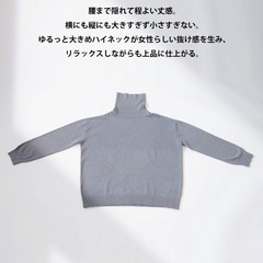 antiqua  タートルニットの画像