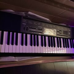 CASIO ベーシックキーボード 61鍵 CTK-2200