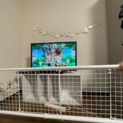 ベビーゲート