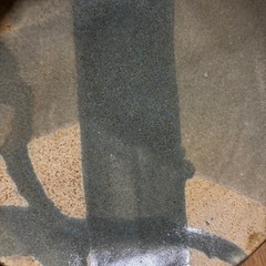 ⑧デザイン違いのペア　陶器　中皿　作家物　窯印あり　の画像