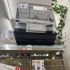 鳥かご　バードバレスの画像