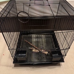 鳥かご　バードバレス