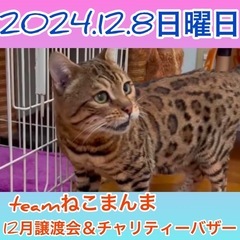 ご参加ありがとうございました！teamねこまんま　12月譲渡会＆バザー