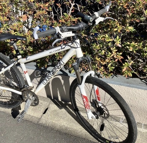 LOUIS GARNEAU / ルイガノ 自転車 バイク 手渡し限定