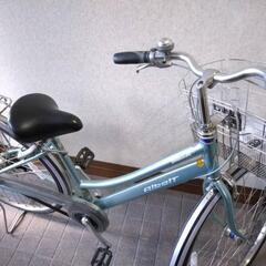 アルベルト自転車