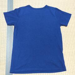 半袖　レディース　Tシャツの画像