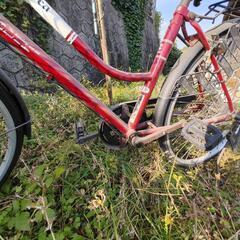 古い自転車【終】の画像