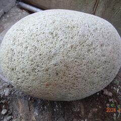 ☆☆★★★★★庭の石・どなたか貰って下さい、一個だけ