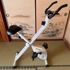 AKNIO フィットネスバイク 折りたたみ式