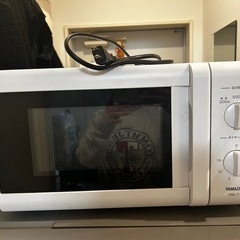 電子レンジ