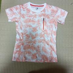 【2月末までで廃棄⠀】婦人Ｔシャツ