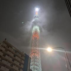 おでかけ散歩友達　12月8日も可能　別日も