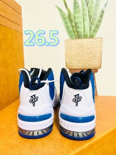 Atlantic Blue Nike 26.5
