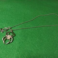 珍しい蜘蛛のペンダント