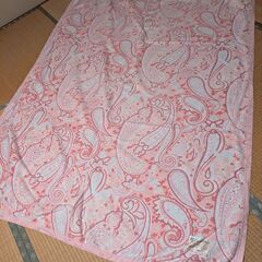 綿毛布　２枚セット