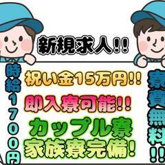 年内最終受付12/11まで!![館林市]からお仕事をお探しの方必見!!特典満載の注目新規求人!!12月中に入社された方全員に10万円の祝い金付きで年内入社の方全員に追加で5万円ボーナス付き！勤務地は福島県郡山市になります。 仕事No.V5pHDyltM1 76の画像