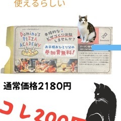 《予定者様確定》【今年の思い出作りに】ドミノピザアカデミー参加券