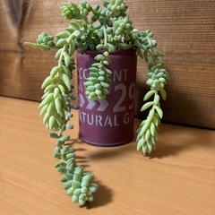 リメ缶　たまつづり＆新たまつづり
