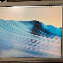 液晶モニター 　EIZO FlexScan M1950-R