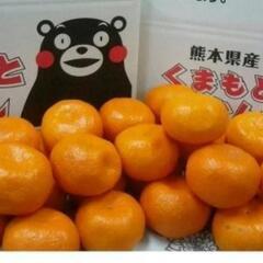 美味しいみかんが売っている場所教えて