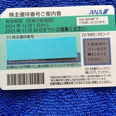 ANA チケット 飛行機　優待/割引テーマパーク/遊園地