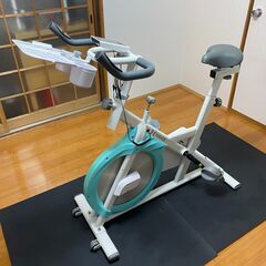 HAIGE スピンバイク HG-YX-5006S