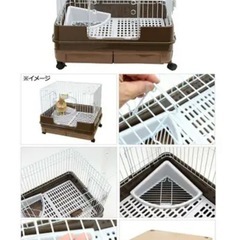 うさぎケージの画像