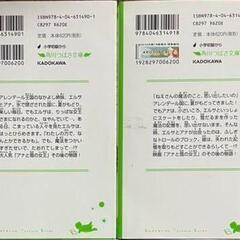 アナと雪の女王「愛されるエルサ女王」「失われたアナの記憶」2冊組の画像